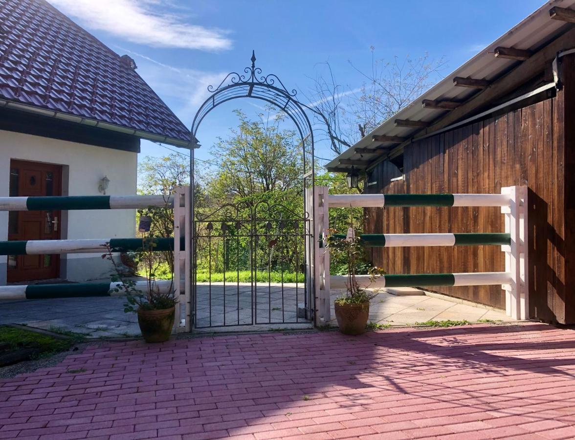 Pfaffensteghof Apartment Rickenbach  Ngoại thất bức ảnh